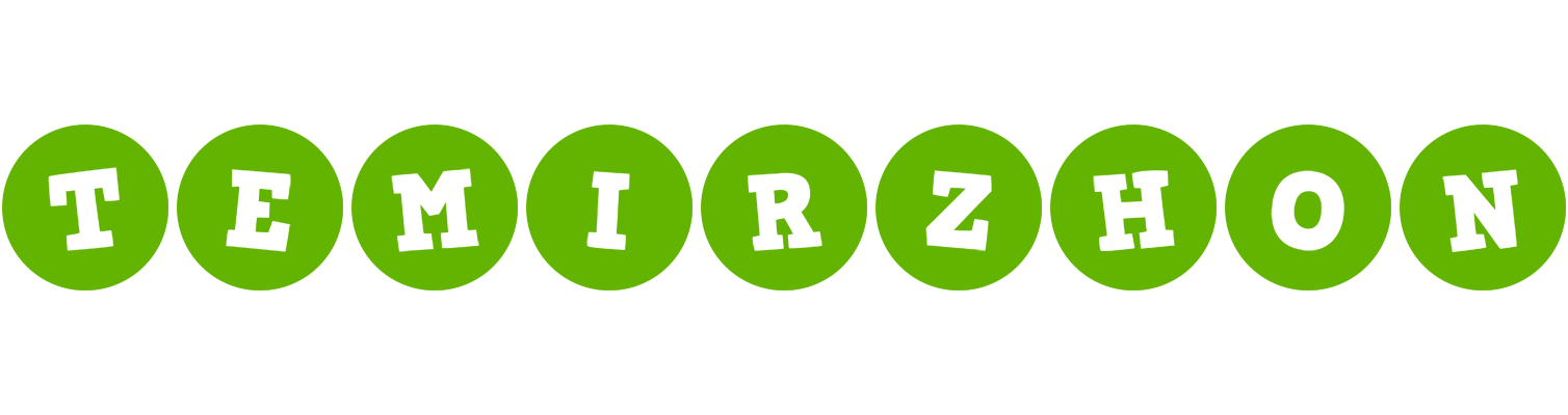 Temirzhon games logo