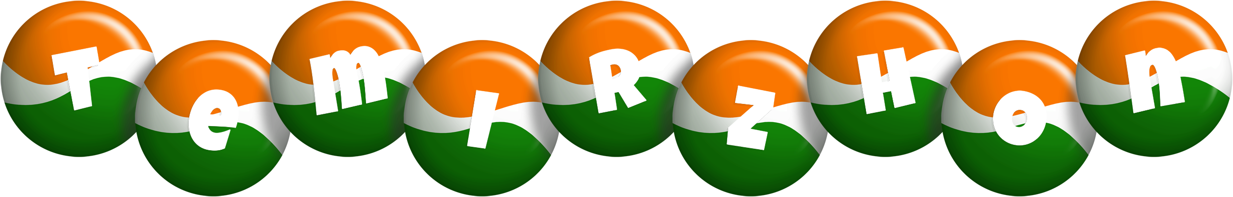 Temirzhon india logo