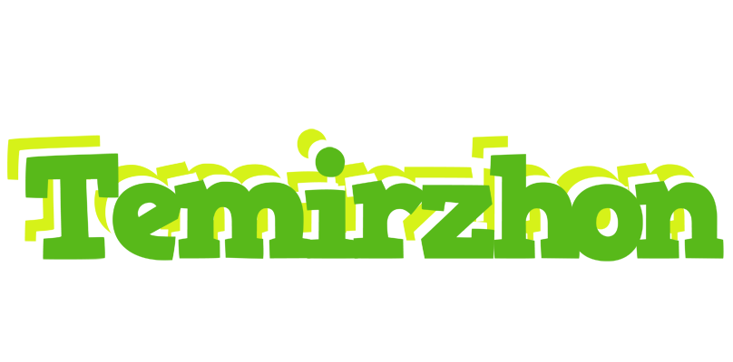 Temirzhon picnic logo