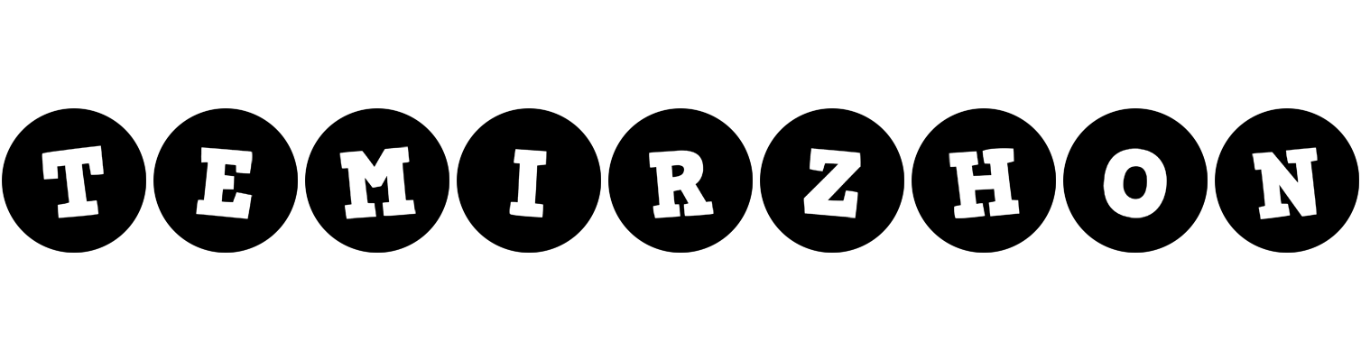 Temirzhon tools logo