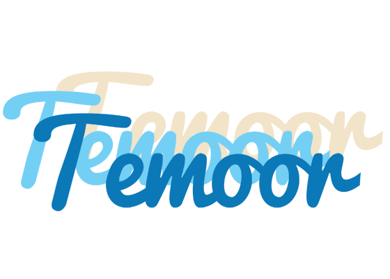 Temoor breeze logo