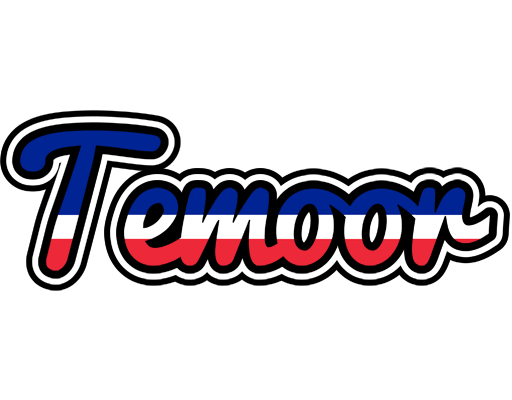 Temoor france logo