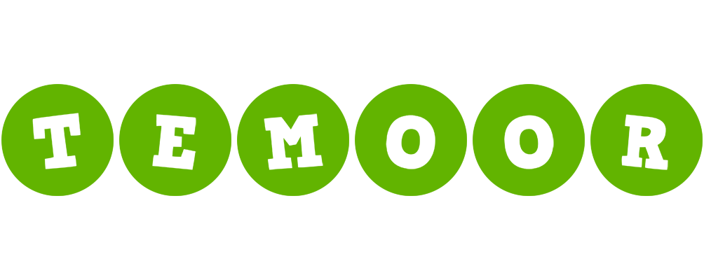 Temoor games logo