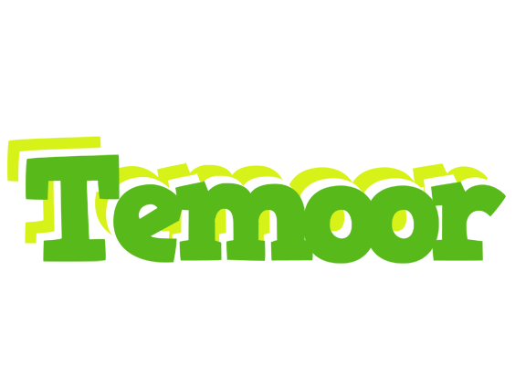 Temoor picnic logo