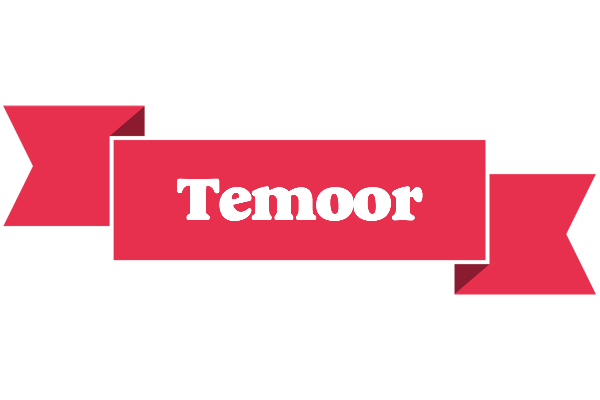Temoor sale logo