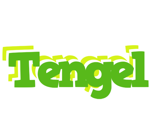 Tengel picnic logo