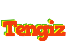 Tengiz bbq logo