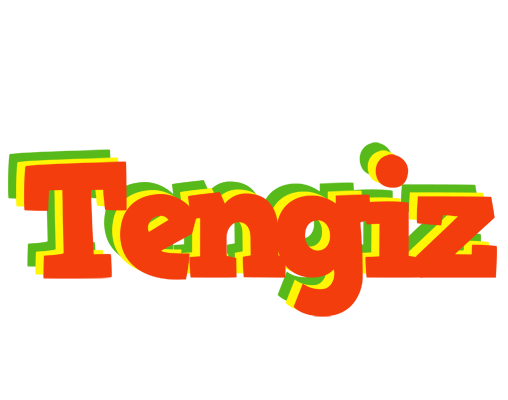 Tengiz bbq logo