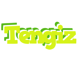 Tengiz citrus logo