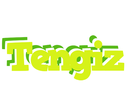 Tengiz citrus logo