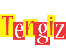 Tengiz errors logo