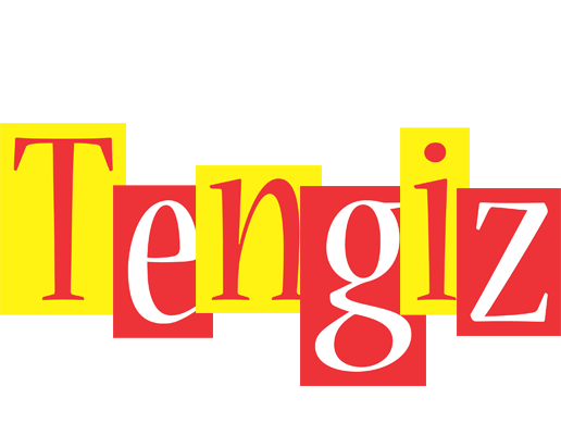 Tengiz errors logo