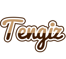 Tengiz exclusive logo