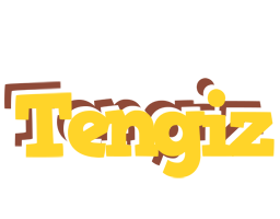 Tengiz hotcup logo