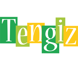 Tengiz lemonade logo