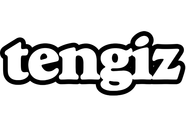Tengiz panda logo