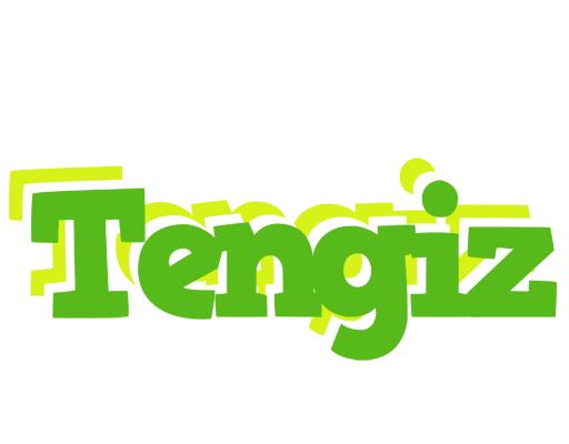 Tengiz picnic logo