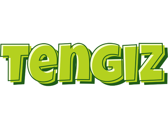 Tengiz summer logo