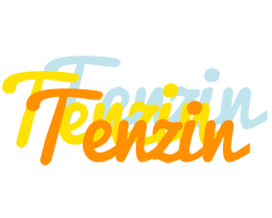 Tenzin energy logo