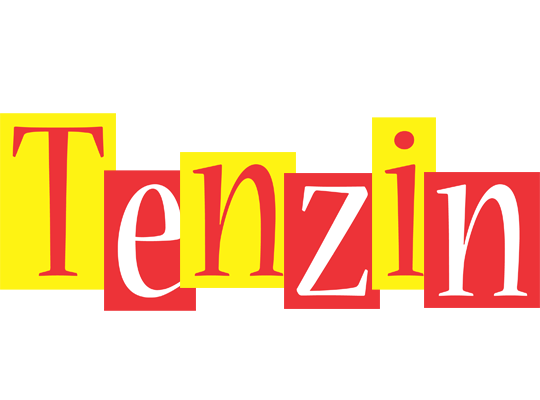 Tenzin errors logo