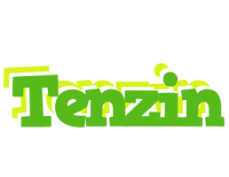 Tenzin picnic logo