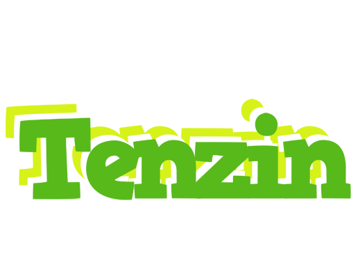 Tenzin picnic logo