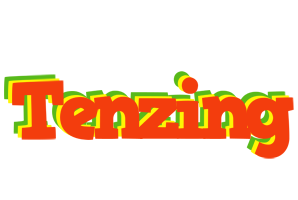 Tenzing bbq logo