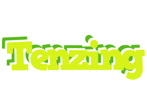 Tenzing citrus logo