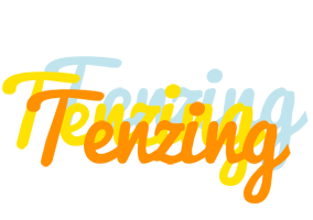 Tenzing energy logo