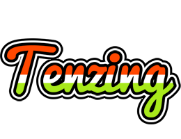 Tenzing exotic logo