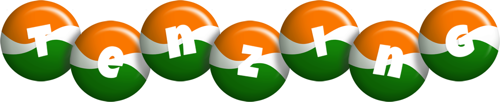 Tenzing india logo