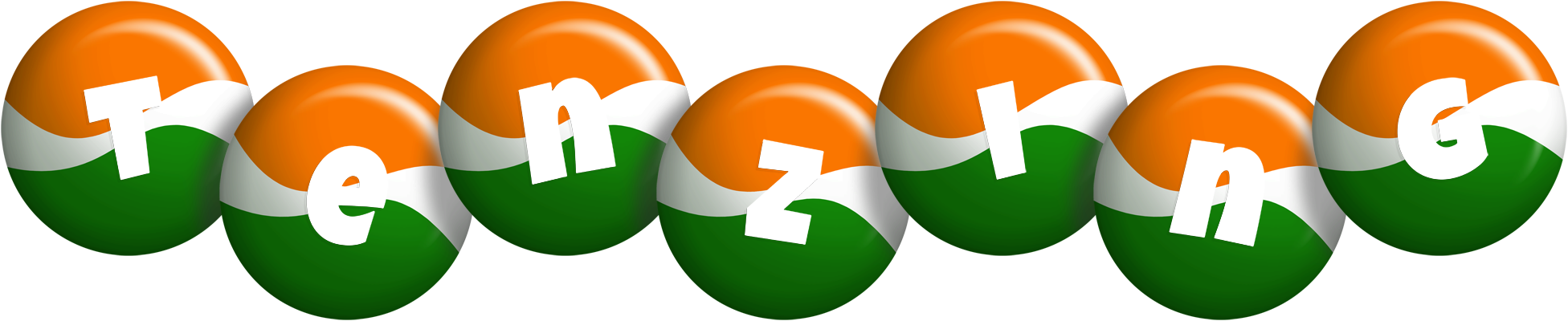 Tenzing india logo
