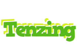 Tenzing picnic logo