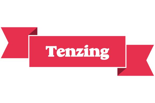 Tenzing sale logo