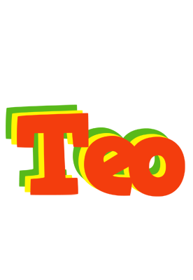 Teo bbq logo