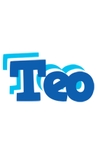Teo business logo