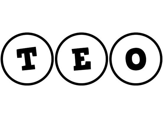 Teo handy logo
