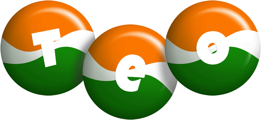 Teo india logo
