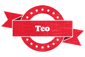 Teo passion logo