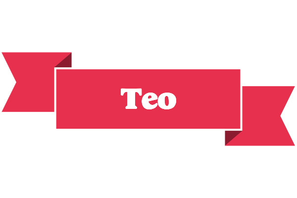 Teo sale logo