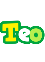 Teo soccer logo