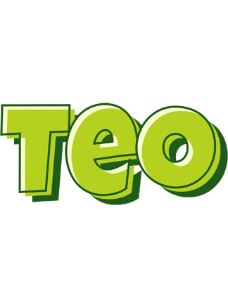 Teo summer logo