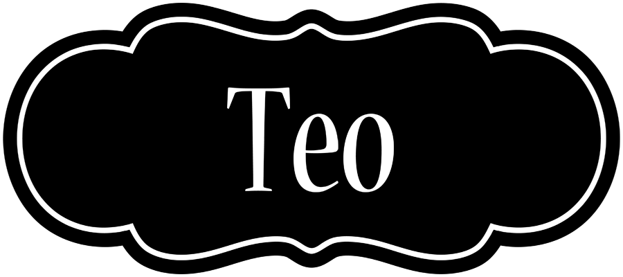 Teo welcome logo