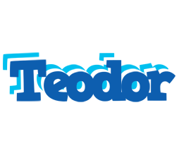 Teodor business logo