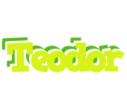 Teodor citrus logo