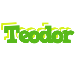 Teodor picnic logo