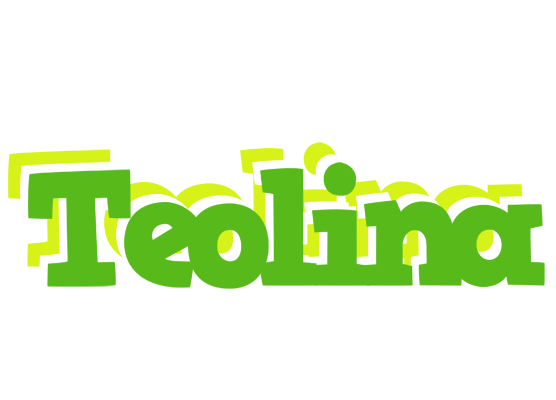 Teolina picnic logo
