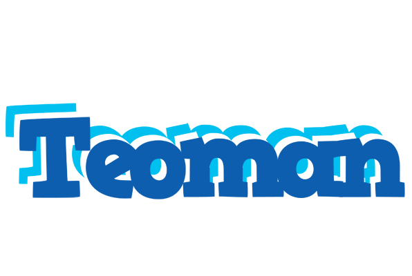 Teoman business logo