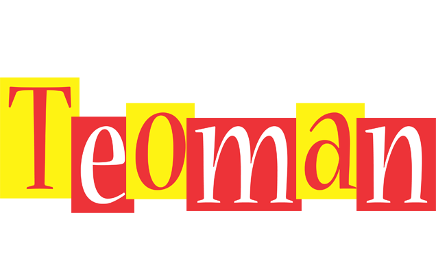 Teoman errors logo