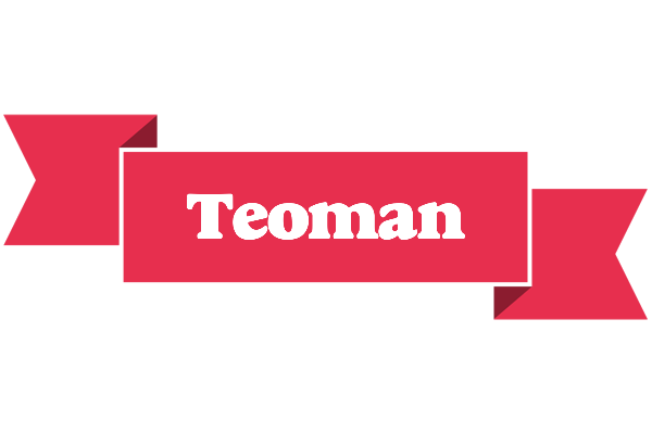 Teoman sale logo